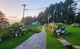 Forest Vibes Kalatop-Rooms And Restaurant
