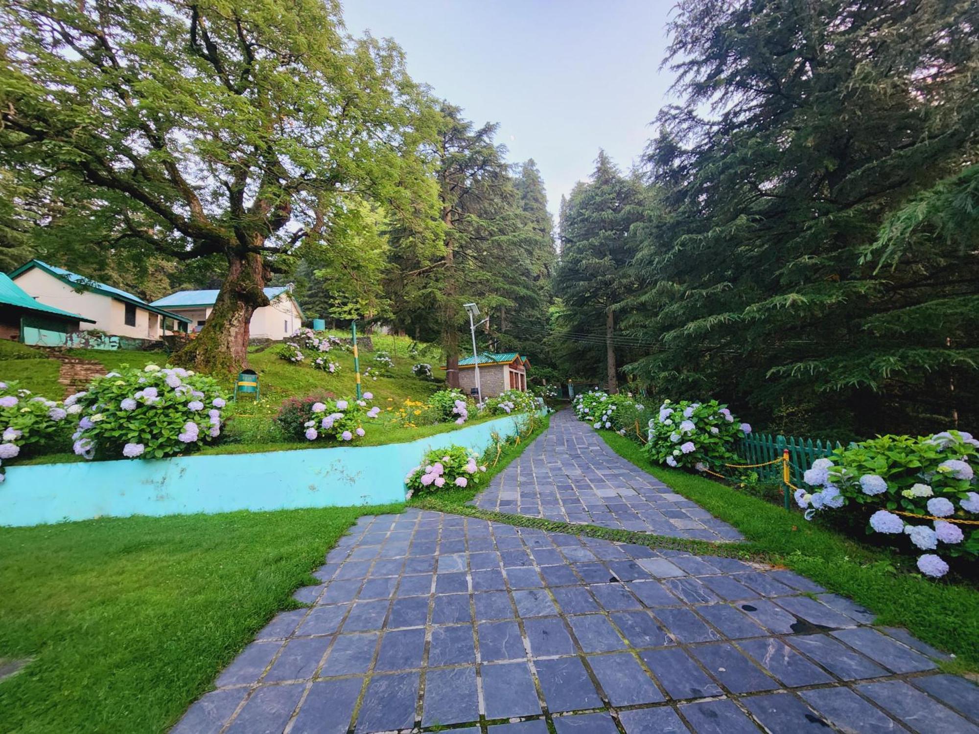 Forest Vibes Kalatop-Rooms And Restaurant Dalhousie Exterior photo