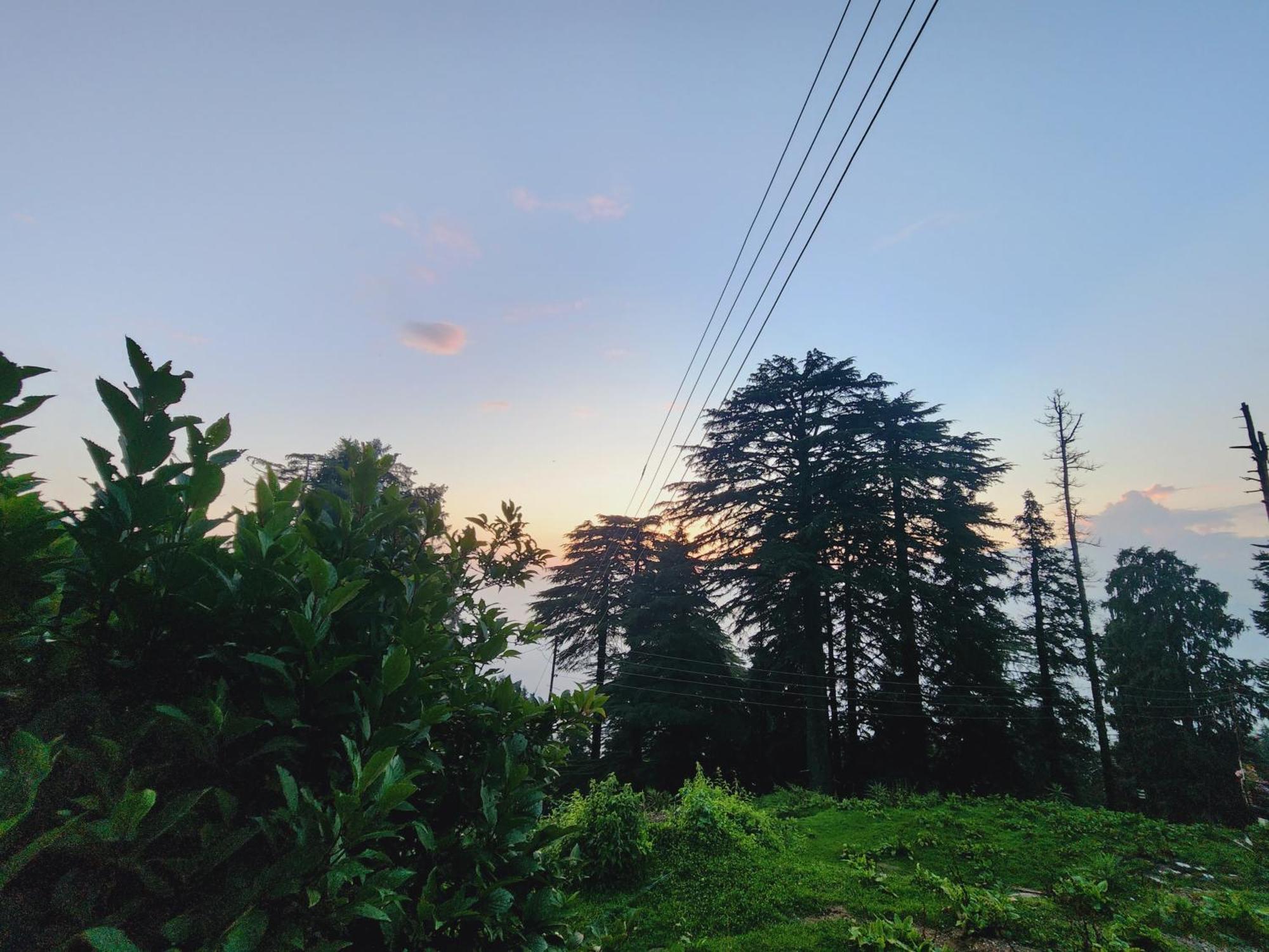 Forest Vibes Kalatop-Rooms And Restaurant Dalhousie Exterior photo