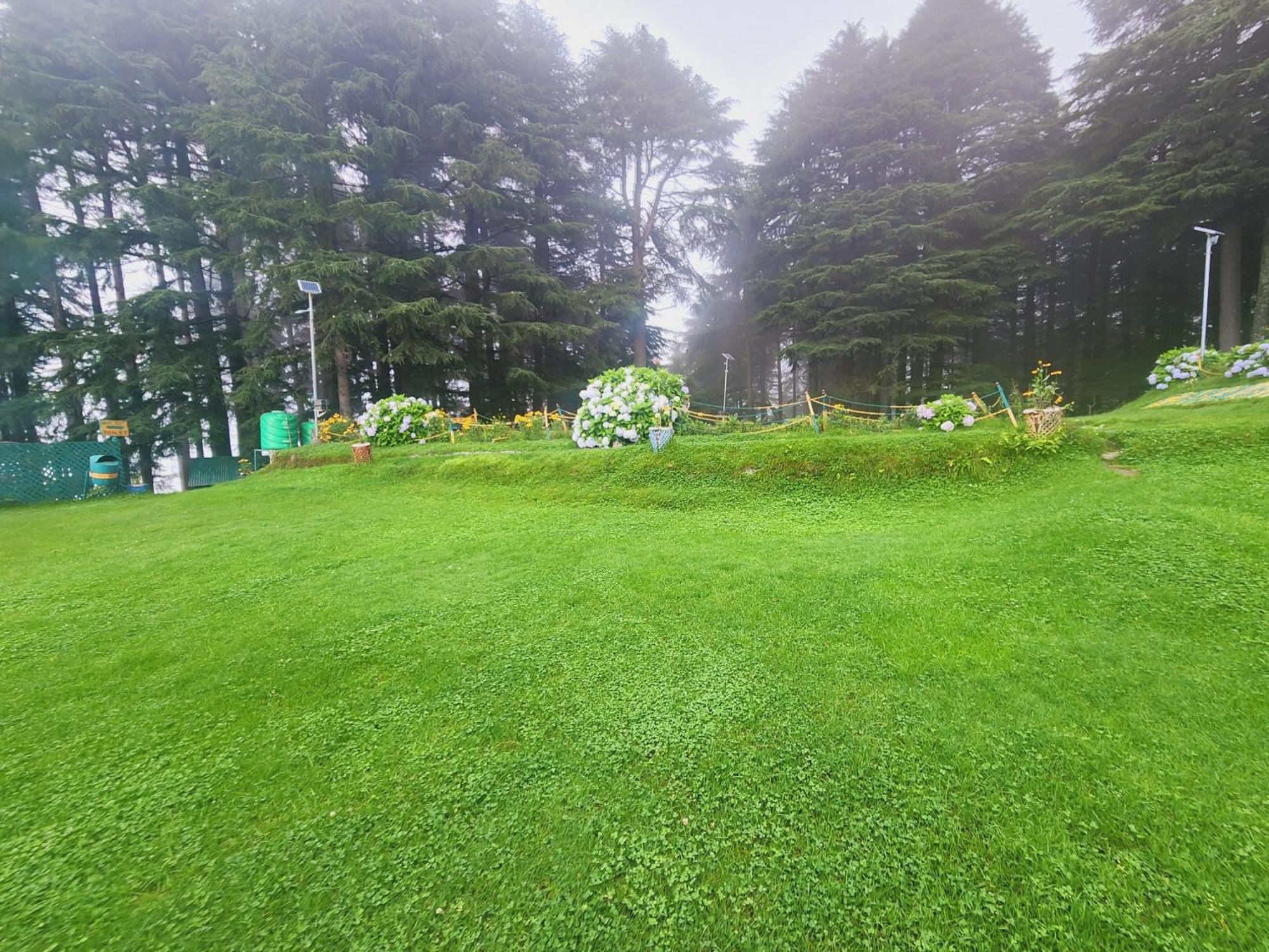 Forest Vibes Kalatop-Rooms And Restaurant Dalhousie Exterior photo