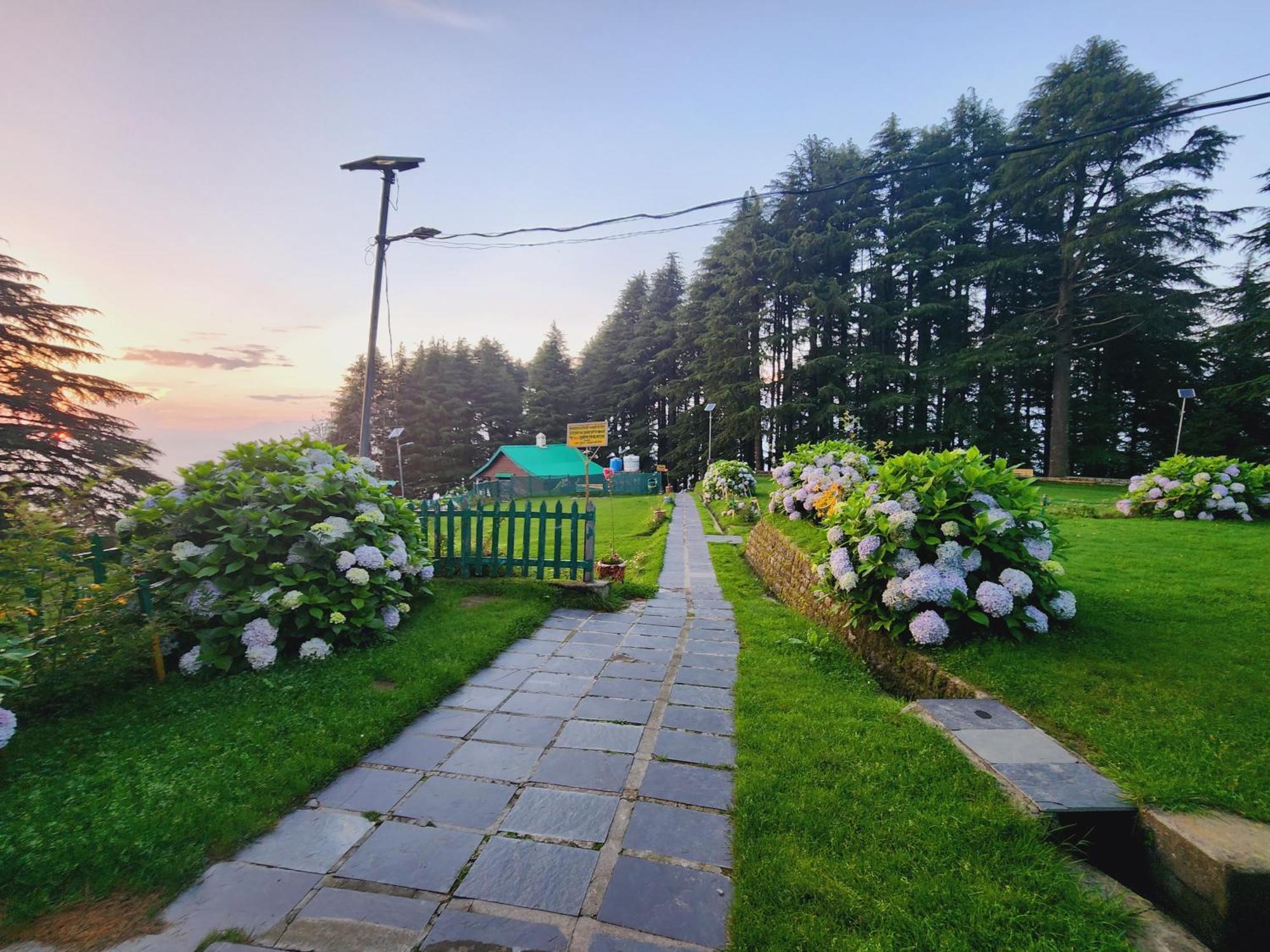 Forest Vibes Kalatop-Rooms And Restaurant Dalhousie Exterior photo